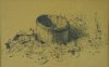 1938 - Panorama di Orvieto (studio per il tino con pianta di vite)